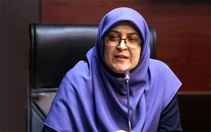  مهاجرانی: آرایش جدید دولت درباره مکانیسم ماشه و نگرانی از نوسان قیمت‌ها